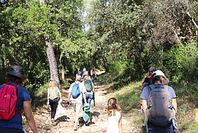 Photo de personnes en train de nettoyer la forêt