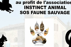 Agrandir l'image