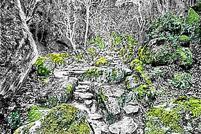 Agrandir l'image