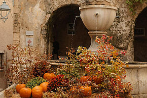 Agrandir l'image