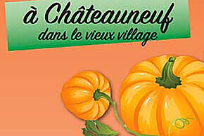 Affiche sur fond orange representant une courge avec le texte suivant : 20 ans, déjà !